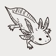 salamander doodle N3