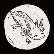 salamander doodle N5