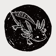 salamander doodle N6