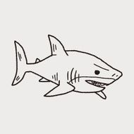 shark doodle N16