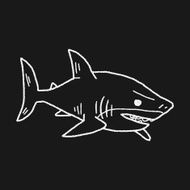 shark doodle N17