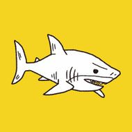 shark doodle N20
