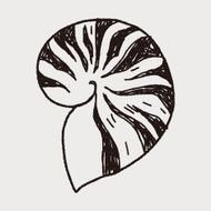 Shell doodle N18
