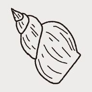 Shell doodle N20