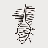 Shell doodle N23