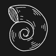 Shell doodle N28