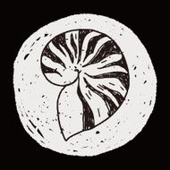 Shell doodle N30