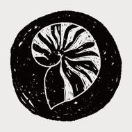 Shell doodle N36