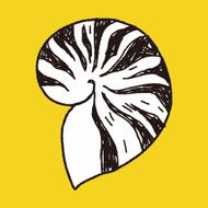Shell doodle N42