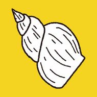 Shell doodle N44