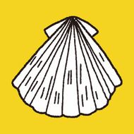Shell doodle N45