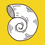 Shell doodle N46