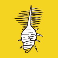 Shell doodle N47