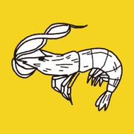 shrimp doodle N8