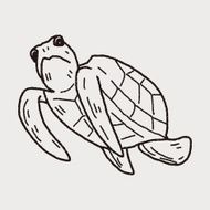 Tortoise doodle N5
