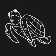 Tortoise doodle N6