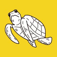 Tortoise doodle N9