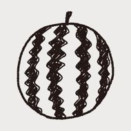 watermelon doodle N5