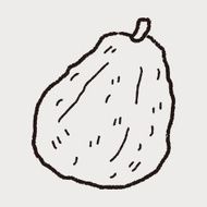 guava doodle N12