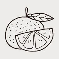 orange doodle N16
