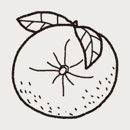 orange doodle N17