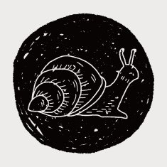 snail doodle N7