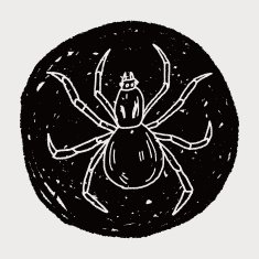 spider doodle N14
