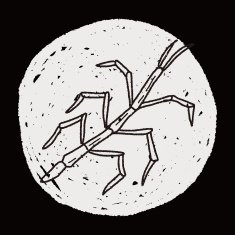 Stick insect doodle N5