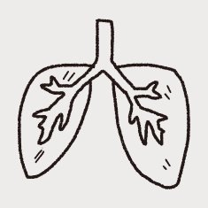 doodle lung N9