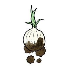 cartoon organic onion N2