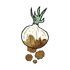 cartoon organic onion N3