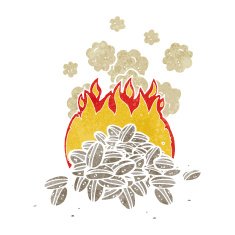 roasting coffee beans cartoon N2