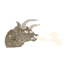 Cartoon Bull Head N5