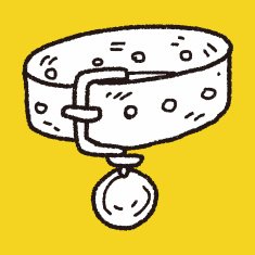 doodle pet collar N9