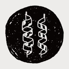 doodle ribbon N7