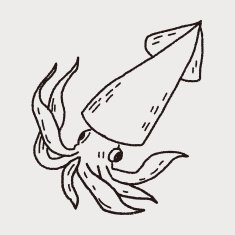 Squid doodle N3