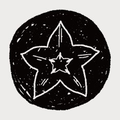 Star fruit doodle N5