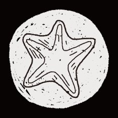Starfish doodle N9