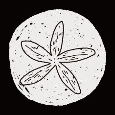 Starfish doodle N10