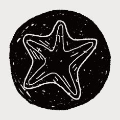 Starfish doodle N11