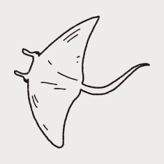 Stingray doodle N3