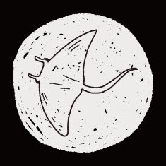 Stingray doodle N5