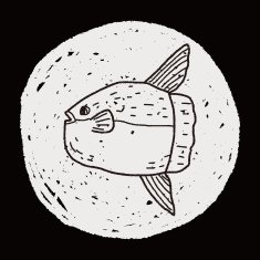 Sunfish doodle N3