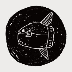 Sunfish doodle N4