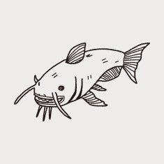Catfish doodle N3