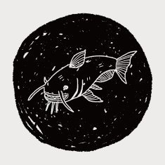 Catfish doodle N6