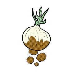 cartoon organic onion N5