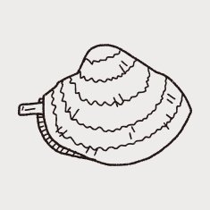 clam doodle N3