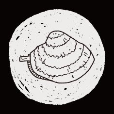 clam doodle N5
