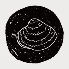 clam doodle N6